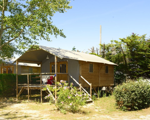 Safari tent genaamd Hut Lodge Comfort met houten terras, omringd door bomen en groene struiken.