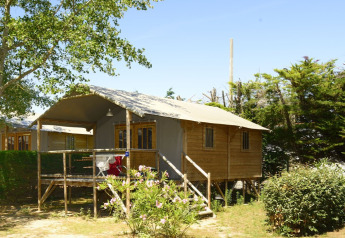 Tente safari nommée Hut Lodge Comfort avec terrasse surélevée en bois, entourée de verdure et d'arbres.