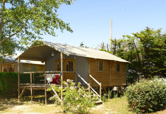 Safari tent genaamd Hut Lodge Comfort met houten terras, omringd door bomen en groene struiken.