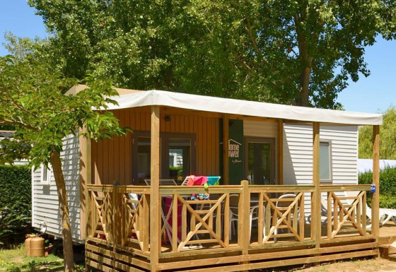 Modern mobile glamping cabin with wooden deck, outdoor seating, and trees for a relaxing retreat.