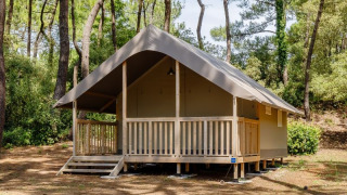 Safari tent named Tent Lodge Confort set in a peaceful forest environment with trees all around.