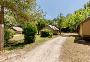 Tiendas tipo safari en Camping Demoiselles Plage, Francia, rodeadas de árboles y naturaleza en día soleado.