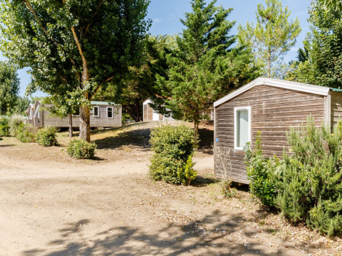 Stacaravan Confort hytter ved Camping Demoiselles Plage, Frankrig, omgivet af træer og buske i solen.