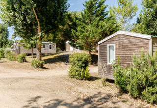 Stacaravan Confort Hütten auf Camping Demoiselles Plage in Frankreich, umgeben von Bäumen an einem sonnigen Tag.