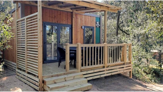 Buitenaanzicht van de Homeflower Premium 1 kamer lodge met houten terras en omringd door groen en bomen.