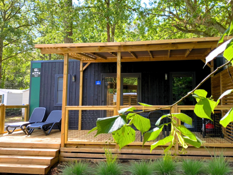 Glampingverblijf met houten terras, ligstoelen en groene begroeiing in een bosrijke omgeving.
