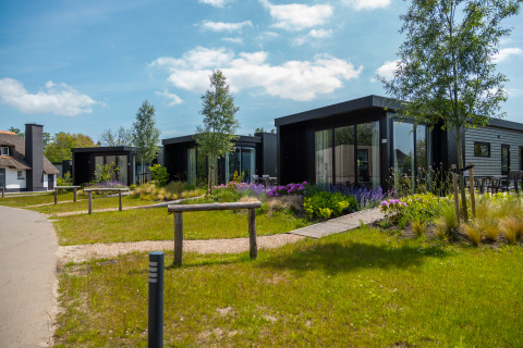 Vakantiechalet Comfort+ au Vakantiepark De Wiedense Meren aux Pays-Bas, lodges modernes entourés de verdure.