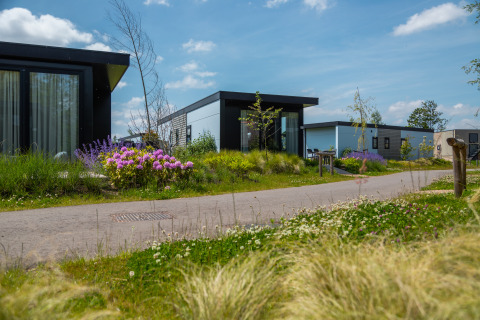 Moderne Lodges und blühende Gärten bei Vakantiechalet comfort+ im Vakantiepark De Wiedense Meren, Niederlande.