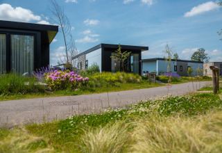 Lodge moderne e giardini fioriti al Vakantiechalet comfort+ nel Vakantiepark De Wiedense Meren, Paesi Bassi.