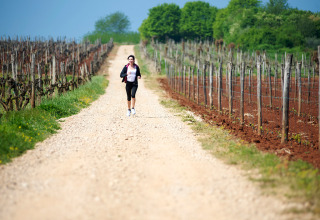 Donna che corre su una strada di ghiaia tra i vigneti ad Aminess Planet Camping Sirena in Istria, Croazia.