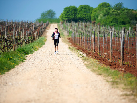 A woman is jogging on a gravel path between vineyards at Aminess Planet Camping Sirena in Istria, Croatia.