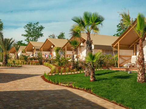 Maro Premium Glamping-tenten bij Valamar Camping Lanterna in Kroatië, met palmbomen en groene gazons.