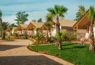Maro Premium Glamping Tents at Valamar Camping Lanterna in Croatia, with palm trees and lush green lawns.