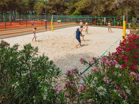 Gasten spelen beachvolleybal bij Valamar Camping Lanterna met tennisbanen en bloemen in Istrië, Kroatië.
