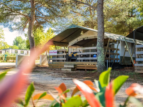 Safari-Zelt auf einem Campingplatz im Wald, umgeben von Bäumen und natürlicher Vegetation.