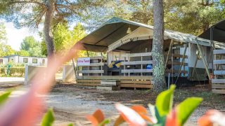 Tienda safari en un camping rodeada de árboles y vegetación, ideal para unas vacaciones al aire libre.