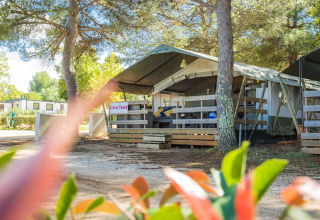 Tenda safari in campeggio tra alberi e natura, ambiente ombreggiato ideale per il relax.