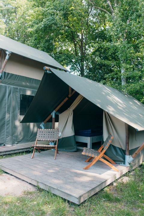 Safari-telt Safaricottage XS med terrasse og to stole ved Holiday Park Sallandshoeve i Holland, omgivet af træer.