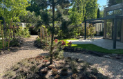 Garten mit Baum und Wegen im Sonnenschein bei Reeëndal Lodge im Veluwepark de Bosgraaf, Niederlande.