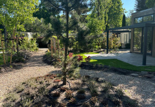 Sunny garden with tree and paths at Reeëndal Lodge in Veluwepark de Bosgraaf, Netherlands.