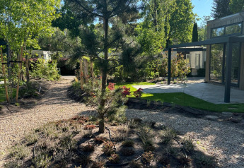Sunny garden with tree and paths at Reeëndal Lodge in Veluwepark de Bosgraaf, Netherlands.