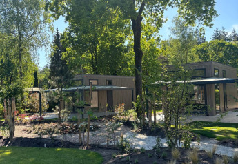 Sunny day at Reeëndal Lodge in Veluwepark de Bosgraaf, Netherlands, with lush greenery and modern lodges.