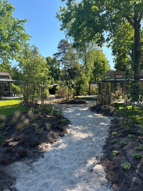 Sunny sandy path through green garden at Reeëndal Lodge, Veluwepark de Bosgraaf, Netherlands.
