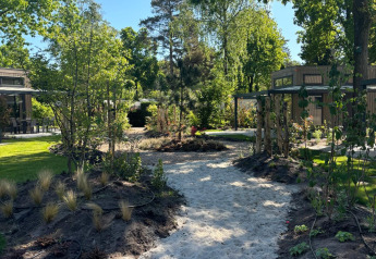 Sunny sandy path through green garden at Reeëndal Lodge, Veluwepark de Bosgraaf, Netherlands.