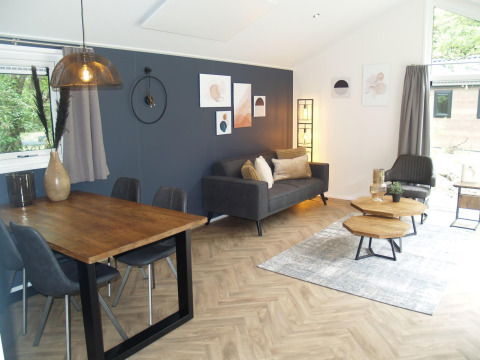 Moderne lodge woonkamer met grijze bank en houten meubels in Velthorst Hottub, EuroParcs Ruinen.