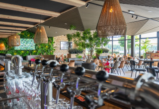 Espace bar et restaurant moderne avec verdure et grandes fenêtres dans un hébergement glamping.