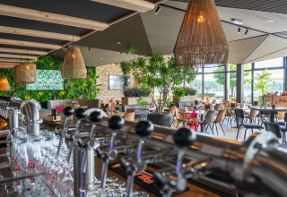 Espace bar et restaurant moderne avec verdure et grandes fenêtres dans un hébergement glamping.
