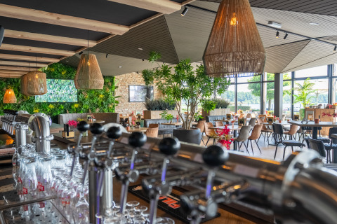 Bar y restaurante moderno con plantas y grandes ventanales en un alojamiento de glamping.