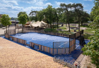 Blauw sportveld bij een glampingverblijf, omgeven door bomen, fietsenstalling en picknickplaatsen.