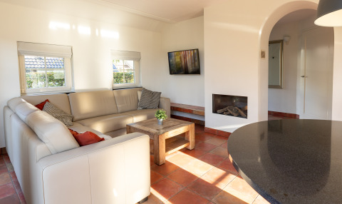 Sala de estar en Wellness Lodge XL en Hof van Salland, Países Bajos, con sofá, chimenea y luz natural.