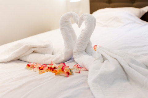 Cisnes de toalla y pétalos de rosa sobre una cama en Wellness Lodge XL, Hof van Salland, Países Bajos, ambiente romántico.