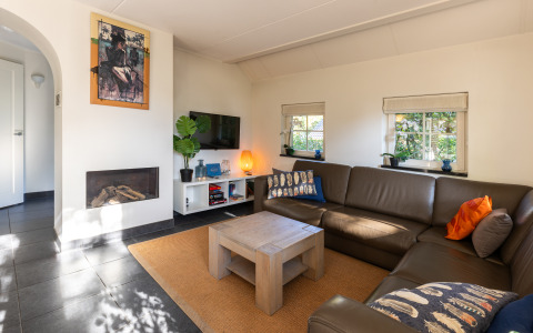 Soggiorno moderno nella Wellness Lodge XL, Hof van Salland, Paesi Bassi, con divano, camino e decorazioni.