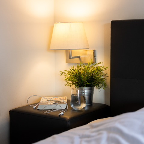 Cozy bedside table with lamp, water glass, headphone, book, and plant in Wellness Lodge XL tiny house.
