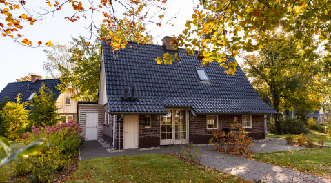 Kleines Wellness Lodge XL Haus im Hof van Salland, Niederlande, eingerahmt von herbstlichen Bäumen.