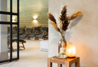 Wellness Lodge XL en Hof van Salland, Países Bajos, con estatua de Buda, lámpara de sal y flores secas.