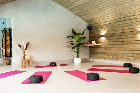 Luminoso espacio wellness en Wellness Lodge XL con esterillas rosas, en Hof van Salland, Países Bajos.