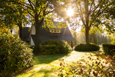 Pequeña Wellness Lodge XL en Hof van Salland, Países Bajos, rodeada de árboles y jardín soleado.