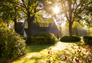 Tiny Wellness Lodge XL at Hof van Salland, Netherlands, nestled among trees and a sunlit green garden.