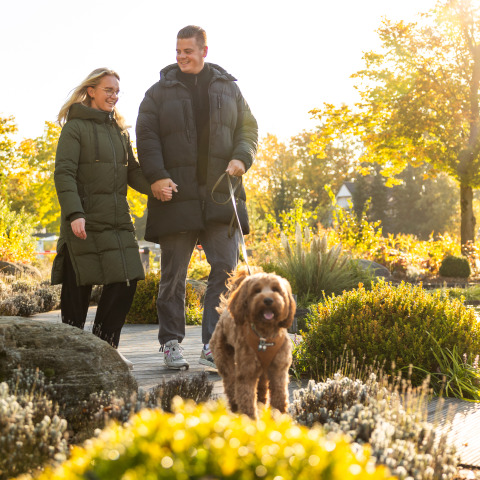 Coppia a passeggio col cane nel giardino soleggiato di Wellness Lodge XL, Hof van Salland, Paesi Bassi.