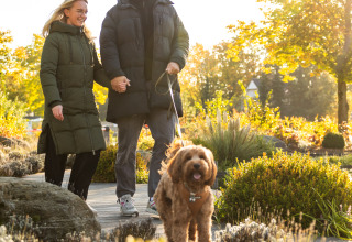 Pareja paseando a su perro bajo el sol en el jardín de Wellness Lodge XL, Hof van Salland, Países Bajos.