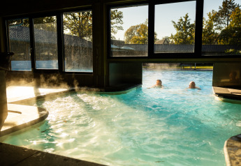 Piscine intérieure-extérieure avec vapeur, deux nageurs, Wellness Lodge XL à Hof van Salland, Pays-Bas.