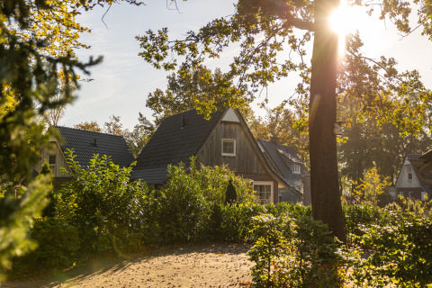 Vista soleggiata della Wellness Lodge XL, una casetta accogliente all'Hof van Salland nei Paesi Bassi, tra gli alberi.