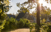 Vista soleada de Wellness Lodge XL, una pequeña casa acogedora en Hof van Salland, Países Bajos, rodeada de vegetación.