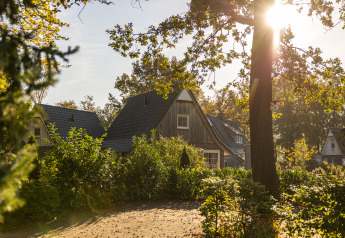 Vista soleggiata della Wellness Lodge XL, una casetta accogliente all'Hof van Salland nei Paesi Bassi, tra gli alberi.