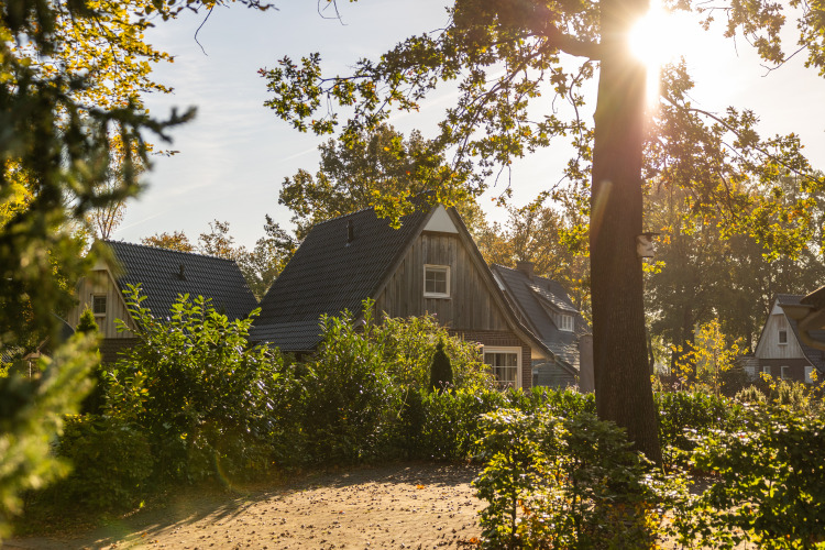 Zonnige opname van Wellness Lodge XL, een knus tiny house bij Hof van Salland in Nederland, omringd door groen.