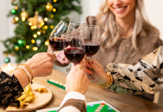 Amigos brindando con vino tinto y jugando un juego de mesa junto al árbol de Navidad en Hof van Salland, NL.